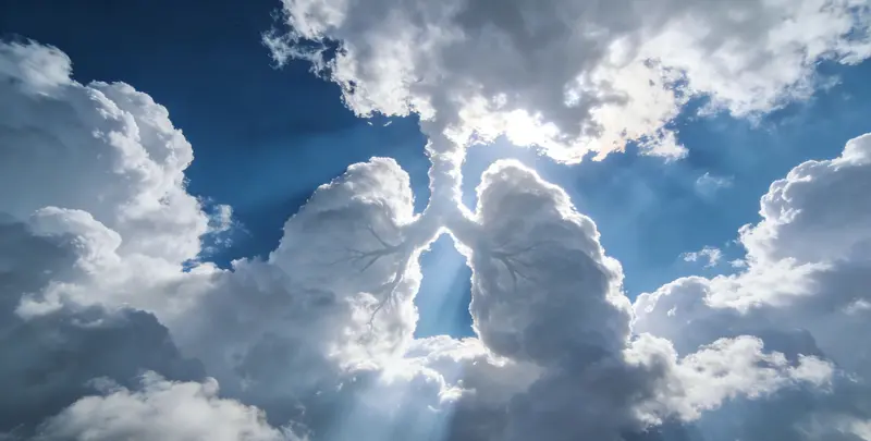 河源肺癌11基因检测组织版图片1