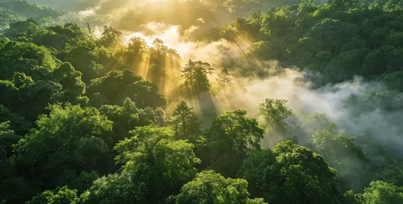 河源肺癌119基因检测图片1