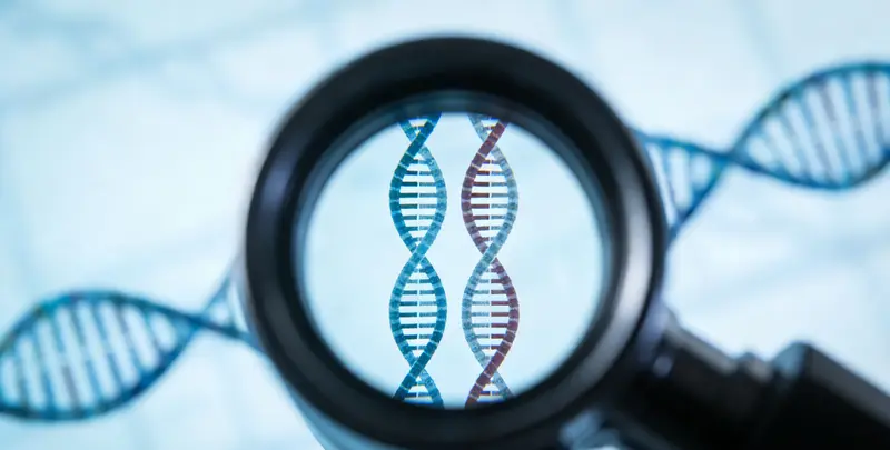 移民亲子鉴定图2